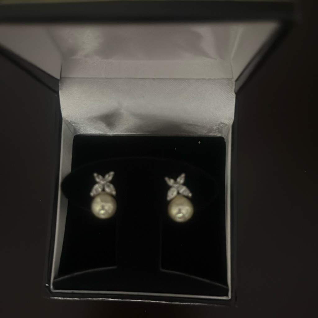 Elegant Pearl And Silver Earrings 100$